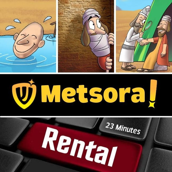 28 Metsora Rental