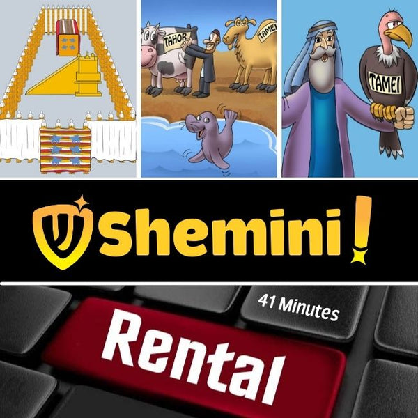 26 Shemini Rental